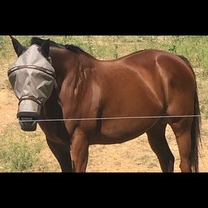 Meet your Posher, Holly